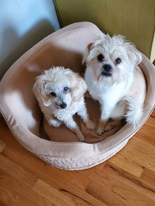 Creekside Animal Hospital Picture 7