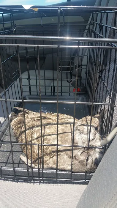 St Francis Animal Hospital Picture 5