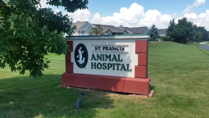 St Francis Animal Hospital Picture 7