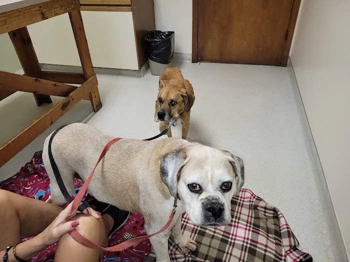 North Gratiot Veterinary Hospital Picture 2