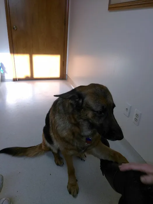 North Gratiot Veterinary Hospital Picture 5