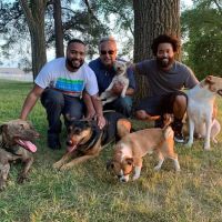 Ross Hospital for Animals ico