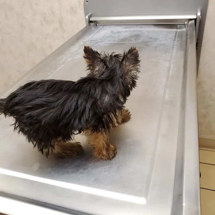 Ross Hospital for Animals Picture 5