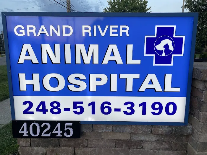 Grand River Animal Hospital Picture 7