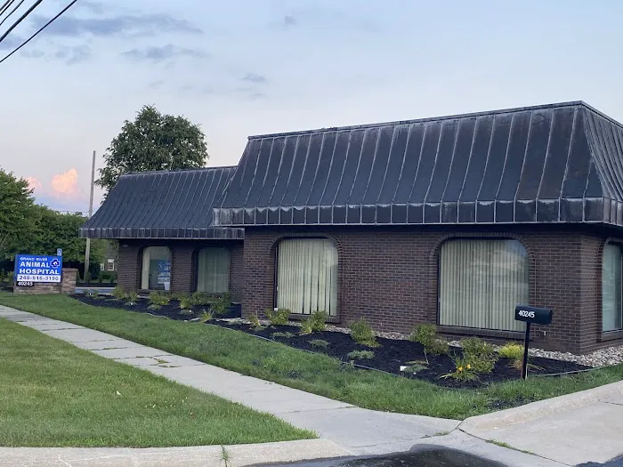 Grand River Animal Hospital Picture 8