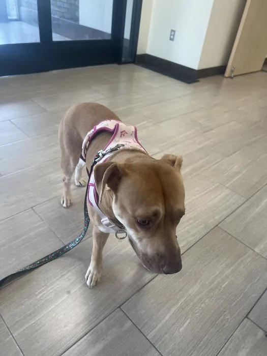 Grand River Animal Hospital Picture 1