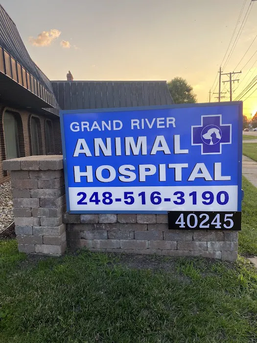 Grand River Animal Hospital Picture 4