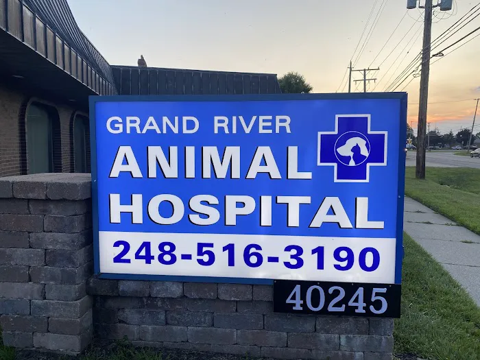 Grand River Animal Hospital Picture 3