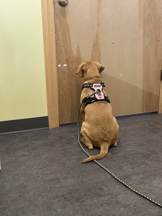 Shelter Bay Animal Hospital Picture 5