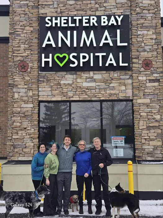 Shelter Bay Animal Hospital Picture 10