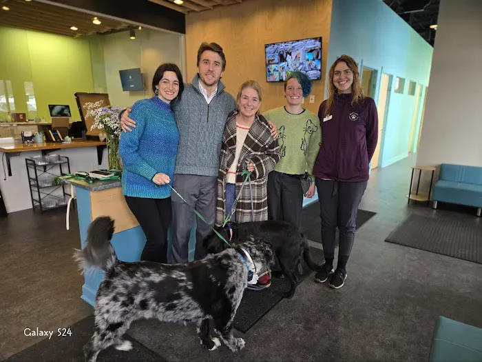 Shelter Bay Animal Hospital Picture 8