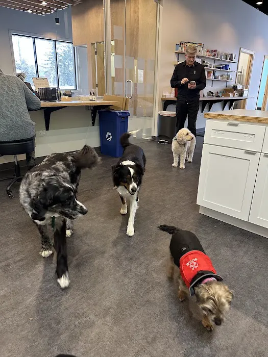 Shelter Bay Animal Hospital Picture 6