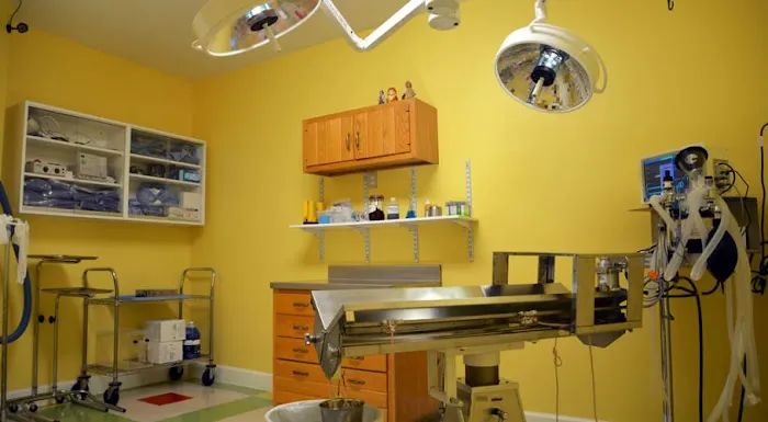 Pet Vet Battlewood Picture 3