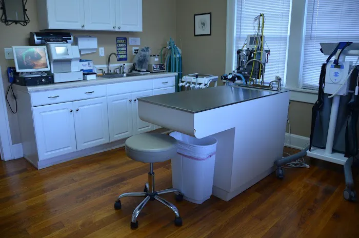 Little House Animal Hospital Picture 8
