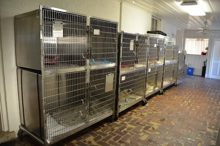 Little House Animal Hospital Picture 5