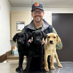 Beauchamp Animal Hospital