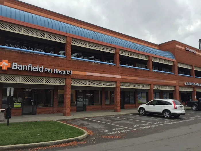 Banfield Pet Hospital Picture 9