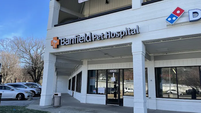 Banfield Pet Hospital Picture 3