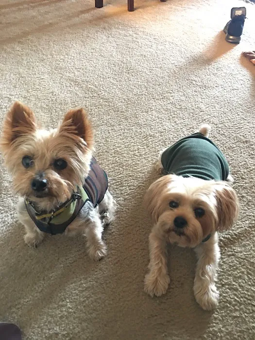 Banfield Pet Hospital Picture 1