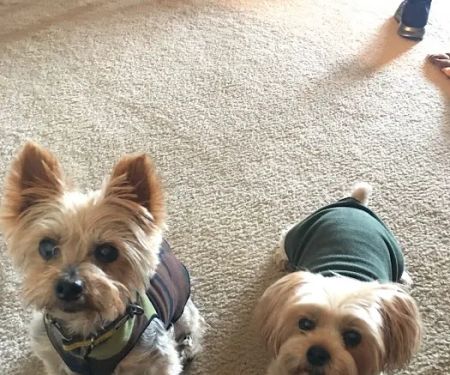 Banfield Pet Hospital