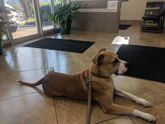 Brentwood Veterinary Clinic Picture 5