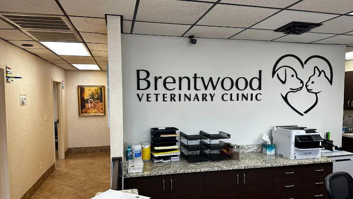 Brentwood Veterinary Clinic Picture 9