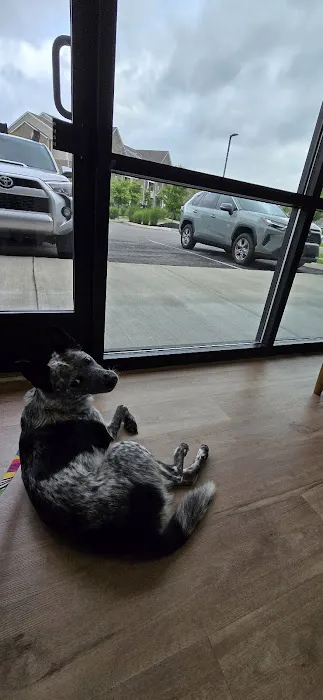Long Hollow Animal Hospital Picture 3