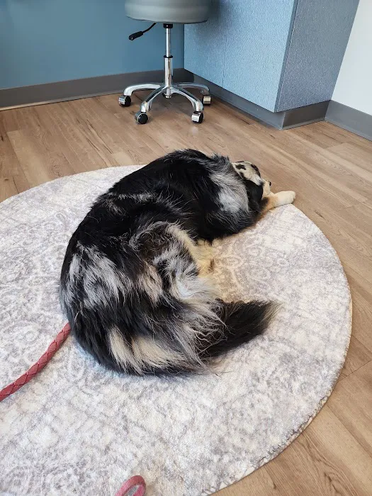 Long Hollow Animal Hospital Picture 1