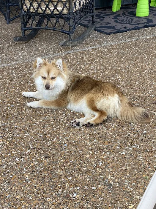Long Hollow Animal Hospital Picture 7