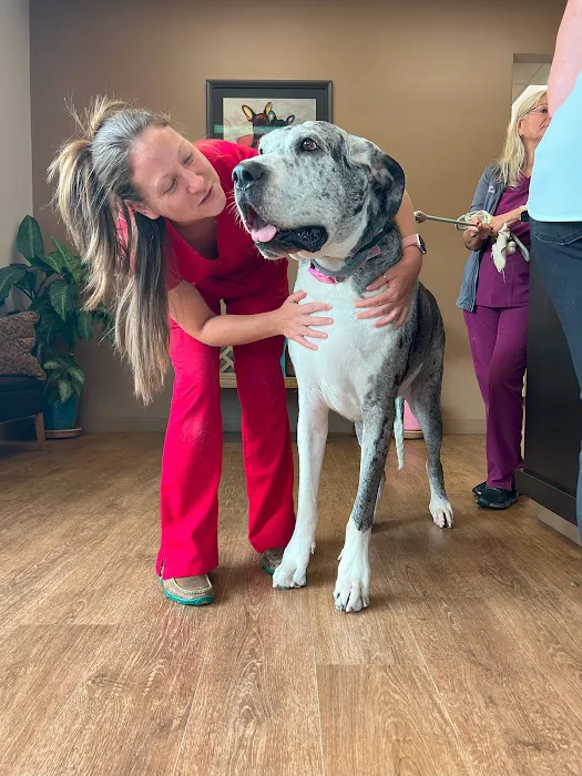 Bluegrass Veterinary Hospital PLLC Picture 8