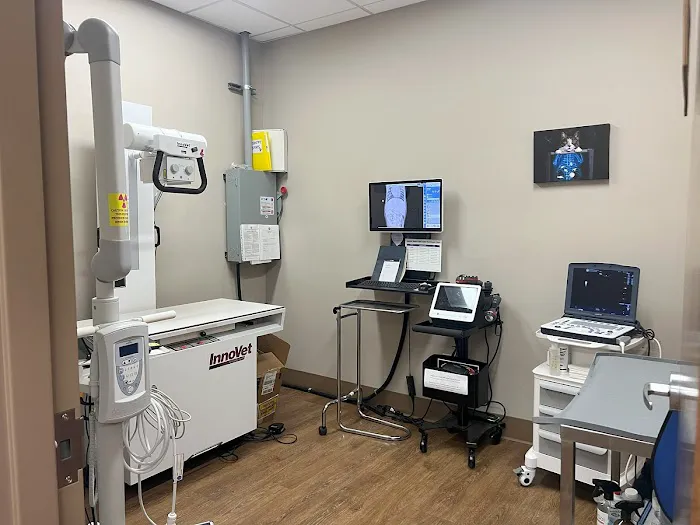 Bluegrass Veterinary Hospital PLLC Picture 3