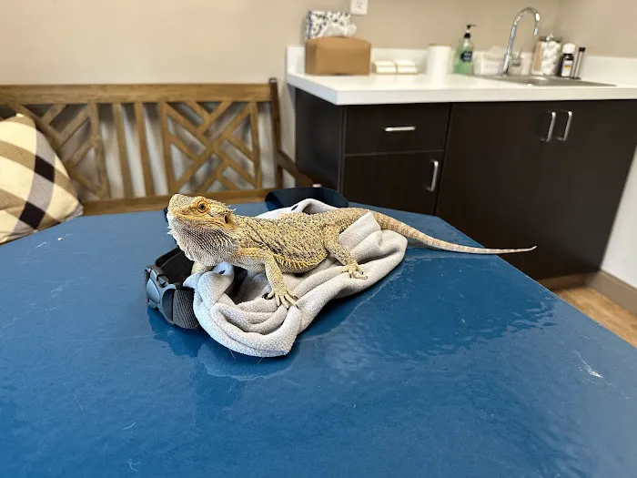 Bluegrass Veterinary Hospital PLLC Picture 1