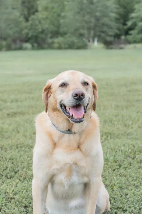 Banfield Pet Hospital Picture 2