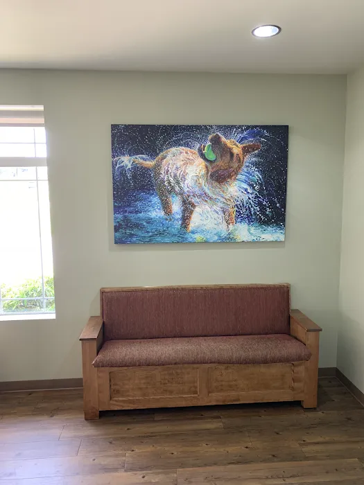 Premier VetCare Picture 10
