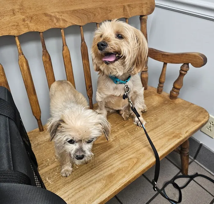 Southern Veterinary Center Picture 6