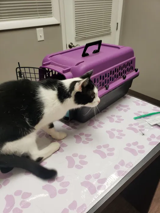 Mill Creek Animal Hospital Picture 2