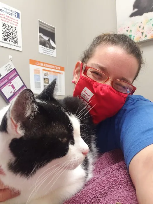 Mill Creek Animal Hospital Picture 4