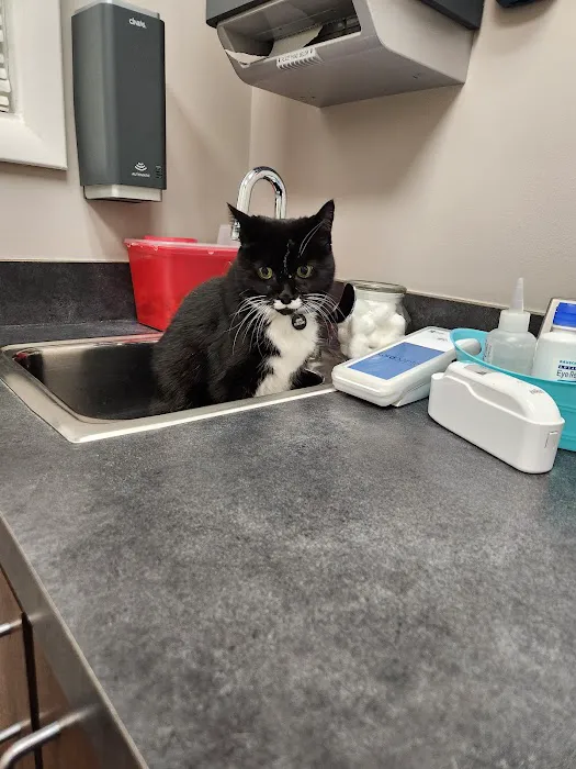 Mill Creek Animal Hospital Picture 10