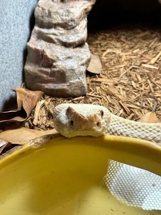 Tree of Life Exotic Pet Medical Center Picture 1