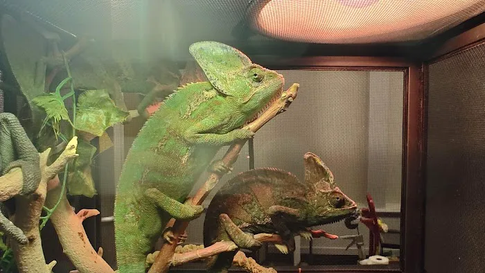 Tree of Life Exotic Pet Medical Center Picture 4