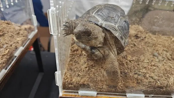 Tree of Life Exotic Pet Medical Center Picture 9