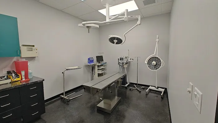 Tree of Life Exotic Pet Medical Center Picture 10