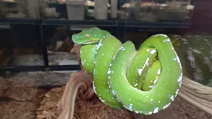 Tree of Life Exotic Pet Medical Center Picture 7
