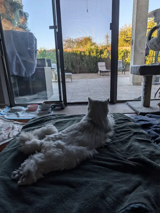 Happy Endings In Home Pet Euthanasia Picture 9