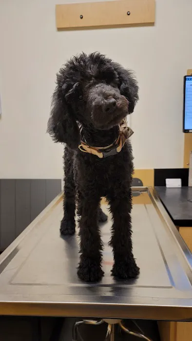 Banfield Pet Hospital Picture 7