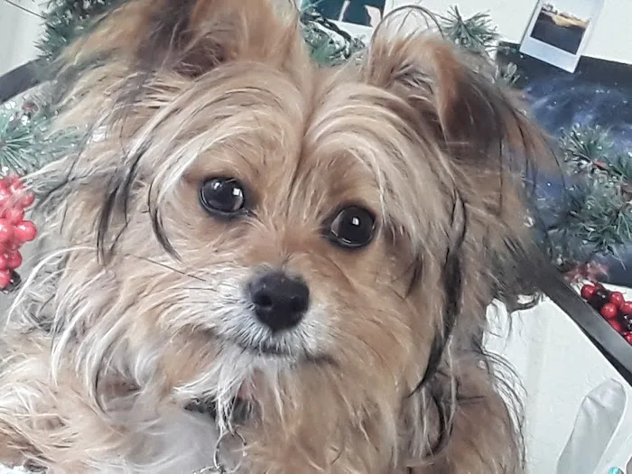 Banfield Pet Hospital Picture 6