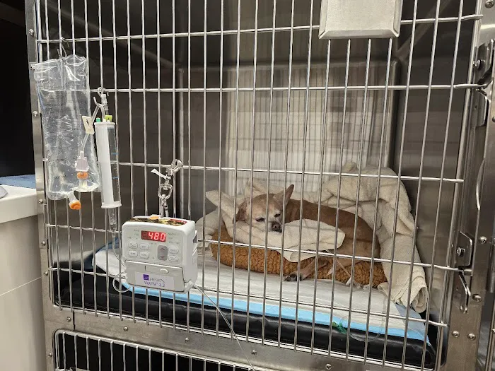 Veterinary Emergency Group Picture 9