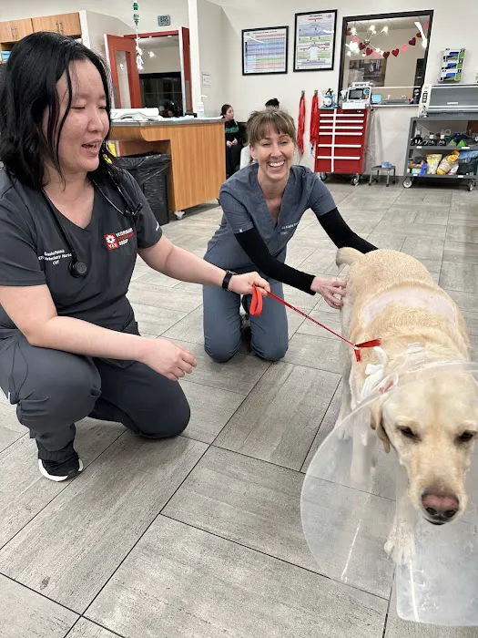 Veterinary Emergency Group Picture 10