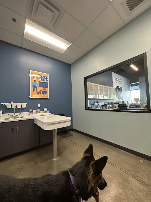 PetWellClinic - Ahwatukee Picture 1