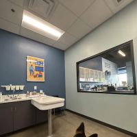 PetWellClinic - Ahwatukee ico